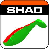 shad